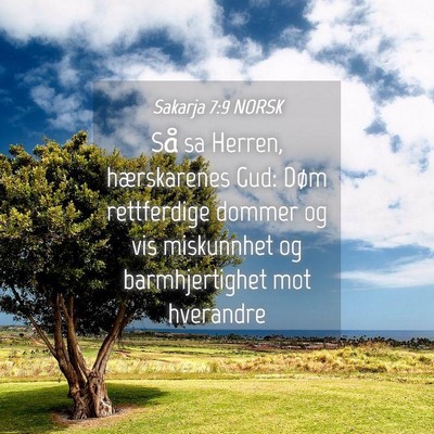 Picture 04 - Sakarja 7:9 NORSK - Så sa Herren, hærskarenes Gud: Døm rettferdige - Bible Verse Picture