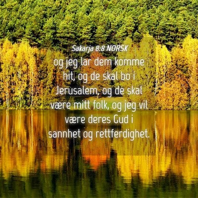 Picture 04 - Sakarja 8:8 NORSK - og jeg lar dem komme hit, og de skal bo i - Bible Verse Picture
