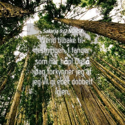Picture 04 - Sakarja 9:12 NORSK - Vend tilbake til festningen, I fanger som har - Bible Verse Picture