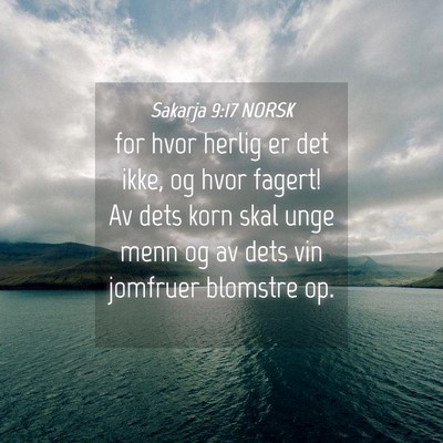 Picture 04 - Sakarja 9:17 NORSK - for hvor herlig er det ikke, og hvor fagert! Av - Bible Verse Picture