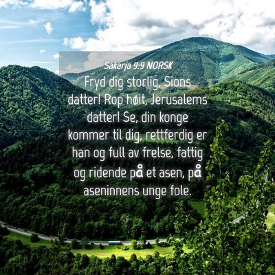 Picture 04 - Sakarja 9:9 NORSK - Fryd dig storlig, Sions datter! Rop høit, - Bible Verse Picture