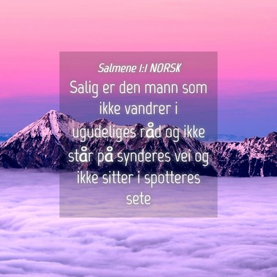 Picture 04 - Salmene 1:1 NORSK - Salig er den mann som ikke vandrer i ugudeliges - Bible Verse Picture