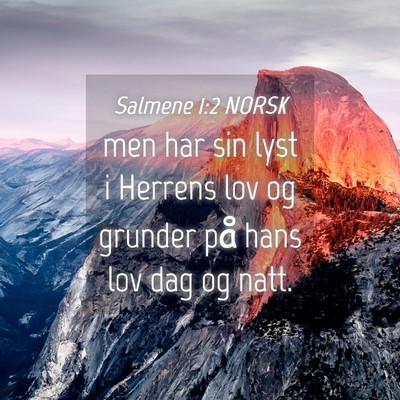 Picture 04 - Salmene 1:2 NORSK - men har sin lyst i Herrens lov og grunder på - Bible Verse Picture
