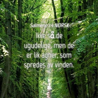 Picture 04 - Salmene 1:4 NORSK - Ikke så de ugudelige, men de er lik agner, som - Bible Verse Picture