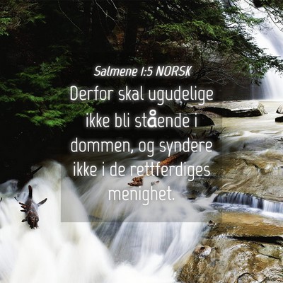 Picture 04 - Salmene 1:5 NORSK - Derfor skal ugudelige ikke bli stående i dommen, - Bible Verse Picture