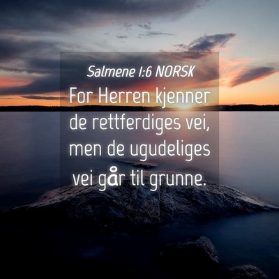 Picture 04 - Salmene 1:6 NORSK - For Herren kjenner de rettferdiges vei, men de - Bible Verse Picture