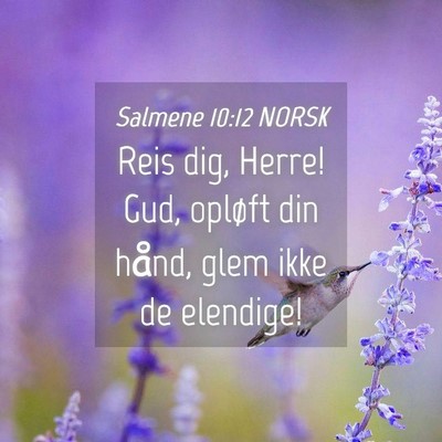 Picture 04 - Salmene 10:12 NORSK - Reis dig, Herre! Gud, opløft din hånd, glem - Bible Verse Picture