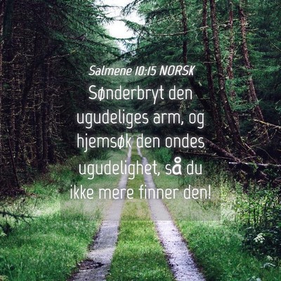 Picture 04 - Salmene 10:15 NORSK - Sønderbryt den ugudeliges arm, og hjemsøk den - Bible Verse Picture