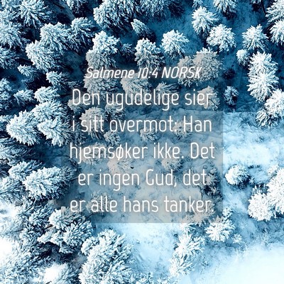 Picture 04 - Salmene 10:4 NORSK - Den ugudelige sier i sitt overmot: Han hjemsøker - Bible Verse Picture