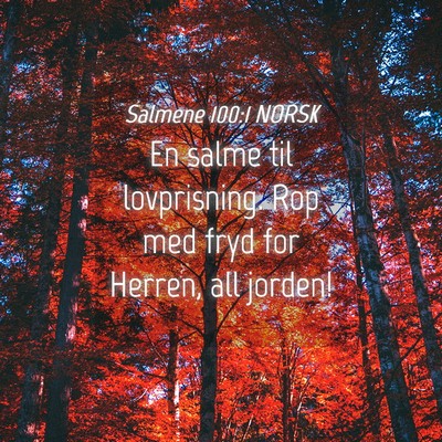 Picture 04 - Salmene 100:1 NORSK - En salme til lovprisning. Rop med fryd for - Bible Verse Picture
