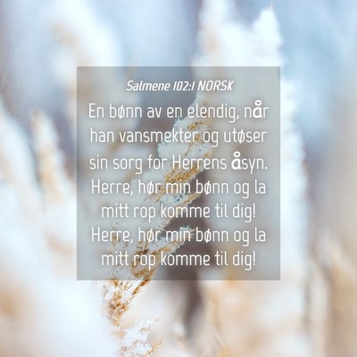 Picture 04 - Salmene 102:1 NORSK - En bønn av en elendig, når han vansmekter og - Bible Verse Picture