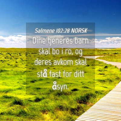 Picture 04 - Salmene 102:28 NORSK - Dine tjeneres barn skal bo i ro, og deres avkom - Bible Verse Picture