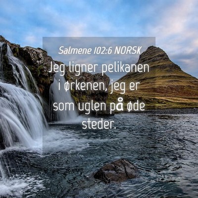 Picture 04 - Salmene 102:6 NORSK - Jeg ligner pelikanen i ørkenen, jeg er som uglen - Bible Verse Picture