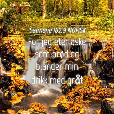 Picture 04 - Salmene 102:9 NORSK - For jeg eter aske som brød og blander min drikk - Bible Verse Picture