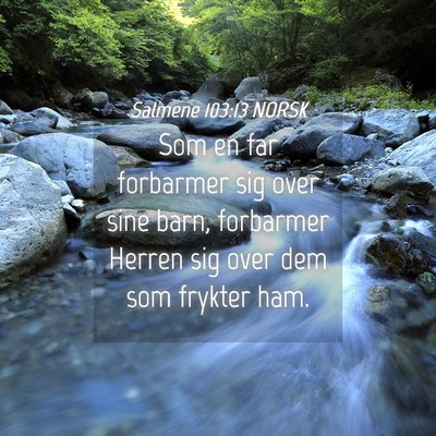 Picture 04 - Salmene 103:13 NORSK - Som en far forbarmer sig over sine barn, - Bible Verse Picture