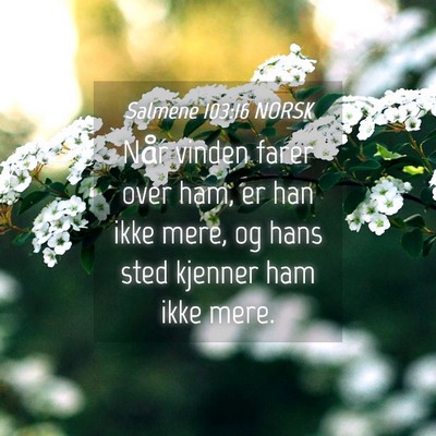 Picture 04 - Salmene 103:16 NORSK - Når vinden farer over ham, er han ikke mere, og - Bible Verse Picture
