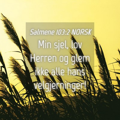 Picture 04 - Salmene 103:2 NORSK - Min sjel, lov Herren og glem ikke alle hans - Bible Verse Picture
