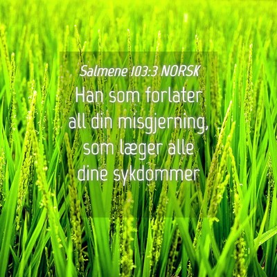 Picture 04 - Salmene 103:3 NORSK - Han som forlater all din misgjerning, som læger - Bible Verse Picture