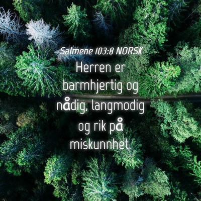 Picture 04 - Salmene 103:8 NORSK - Herren er barmhjertig og nådig, langmodig og rik - Bible Verse Picture