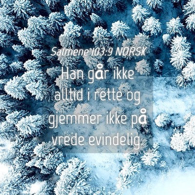 Picture 04 - Salmene 103:9 NORSK - Han går ikke alltid i rette og gjemmer ikke på - Bible Verse Picture