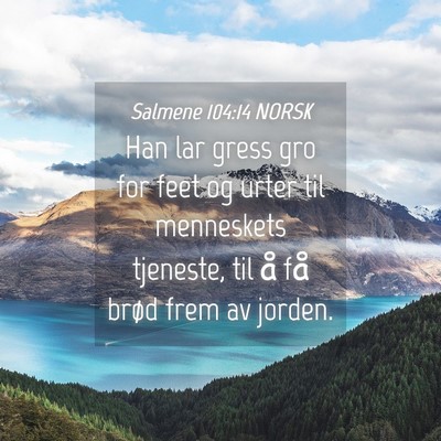 Picture 04 - Salmene 104:14 NORSK - Han lar gress gro for feet og urter til - Bible Verse Picture
