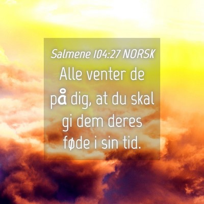 Picture 04 - Salmene 104:27 NORSK - Alle venter de på dig, at du skal gi dem deres - Bible Verse Picture