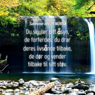 Picture 04 - Salmene 104:29 NORSK - Du skjuler ditt åsyn, de forferdes; du drar - Bible Verse Picture