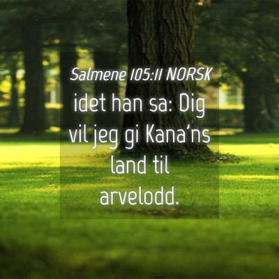 Picture 04 - Salmene 105:11 NORSK - idet han sa: Dig vil jeg gi Kana'ns land til - Bible Verse Picture