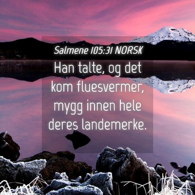 Picture 04 - Salmene 105:31 NORSK - Han talte, og det kom fluesvermer, mygg innen - Bible Verse Picture