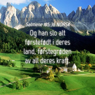 Picture 04 - Salmene 105:36 NORSK - Og han slo alt førstefødt i deres land, - Bible Verse Picture