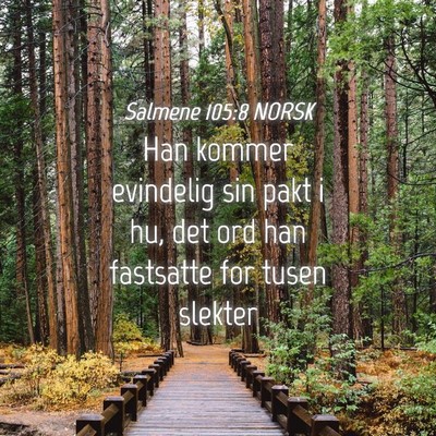 Picture 04 - Salmene 105:8 NORSK - Han kommer evindelig sin pakt i hu, det ord han - Bible Verse Picture