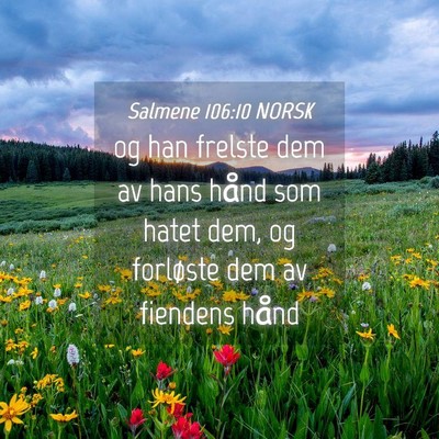 Picture 04 - Salmene 106:10 NORSK - og han frelste dem av hans hånd som hatet dem, - Bible Verse Picture