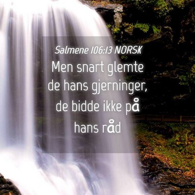 Picture 04 - Salmene 106:13 NORSK - Men snart glemte de hans gjerninger, de bidde - Bible Verse Picture