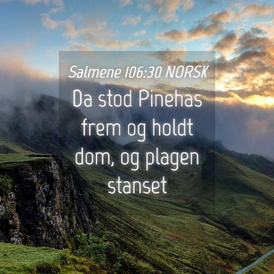 Picture 04 - Salmene 106:30 NORSK - Da stod Pinehas frem og holdt dom, og plagen - Bible Verse Picture