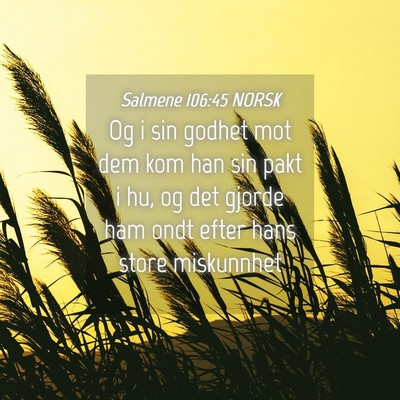 Picture 04 - Salmene 106:45 NORSK - Og i sin godhet mot dem kom han sin pakt i hu, og - Bible Verse Picture