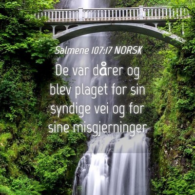 Picture 04 - Salmene 107:17 NORSK - De var dårer og blev plaget for sin syndige vei - Bible Verse Picture