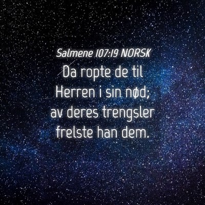 Picture 04 - Salmene 107:19 NORSK - Da ropte de til Herren i sin nød; av deres - Bible Verse Picture