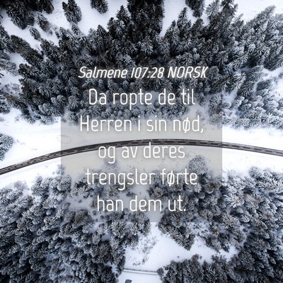 Picture 04 - Salmene 107:28 NORSK - Da ropte de til Herren i sin nød, og av deres - Bible Verse Picture