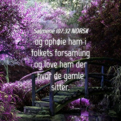 Picture 04 - Salmene 107:32 NORSK - og ophøie ham i folkets forsamling og love ham - Bible Verse Picture