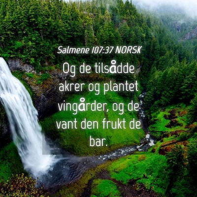 Picture 04 - Salmene 107:37 NORSK - Og de tilsådde akrer og plantet vingårder, og - Bible Verse Picture
