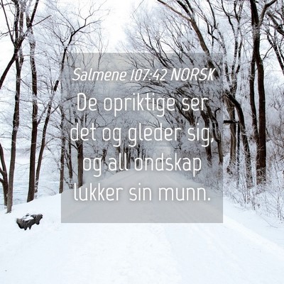 Picture 04 - Salmene 107:42 NORSK - De opriktige ser det og gleder sig, og all - Bible Verse Picture