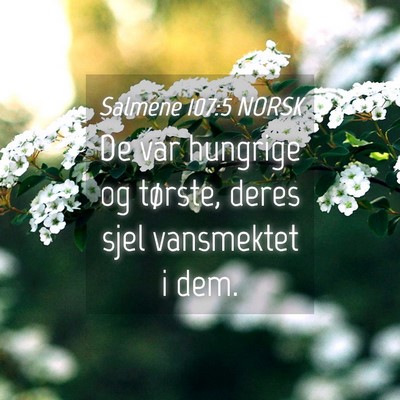 Picture 04 - Salmene 107:5 NORSK - De var hungrige og tørste, deres sjel vansmektet - Bible Verse Picture