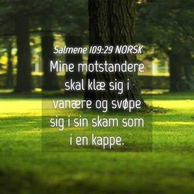 Picture 04 - Salmene 109:29 NORSK - Mine motstandere skal klæ sig i vanære og - Bible Verse Picture