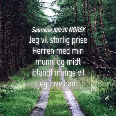 Picture 04 - Salmene 109:30 NORSK - Jeg vil storlig prise Herren med min munn, og - Bible Verse Picture
