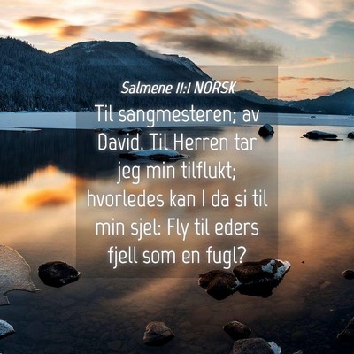 Picture 04 - Salmene 11:1 NORSK - Til sangmesteren; av David. Til Herren tar jeg - Bible Verse Picture