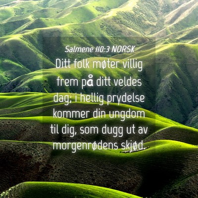 Picture 04 - Salmene 110:3 NORSK - Ditt folk møter villig frem på ditt veldes dag; - Bible Verse Picture