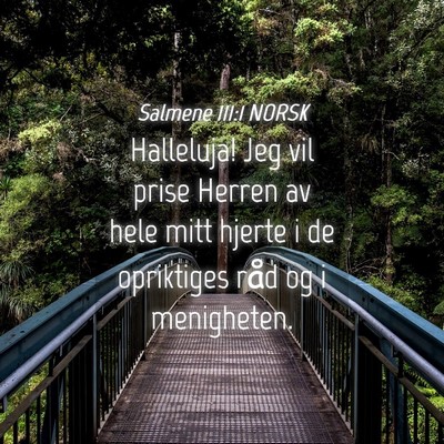 Picture 04 - Salmene 111:1 NORSK - Halleluja! Jeg vil prise Herren av hele mitt - Bible Verse Picture