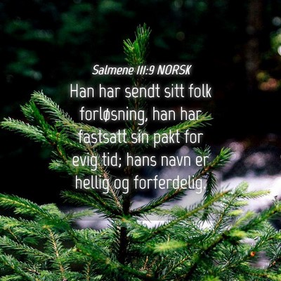 Picture 04 - Salmene 111:9 NORSK - Han har sendt sitt folk forløsning, han har - Bible Verse Picture