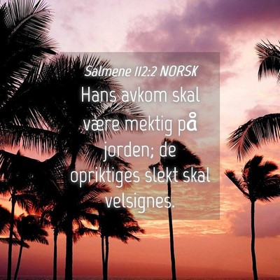 Picture 04 - Salmene 112:2 NORSK - Hans avkom skal være mektig på jorden; de - Bible Verse Picture