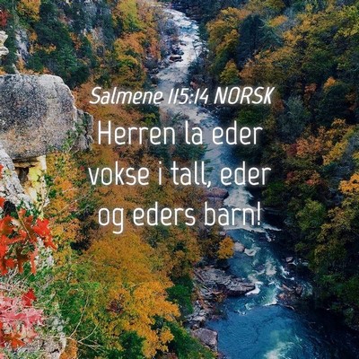 Picture 04 - Salmene 115:14 NORSK - Herren la eder vokse i tall, eder og eders - Bible Verse Picture